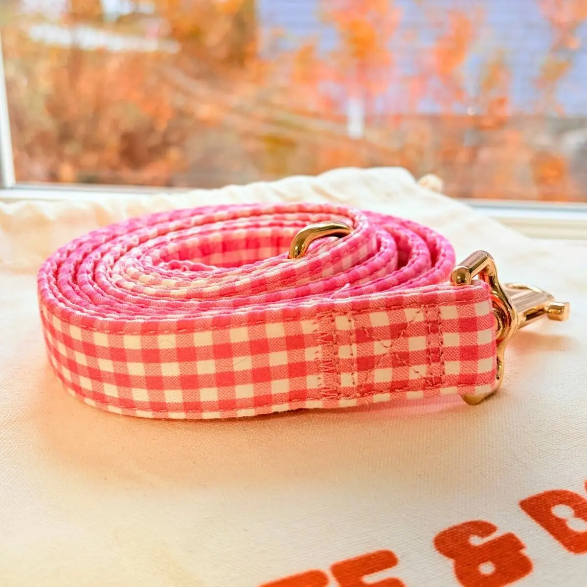 Pink Gingham Joyline™ Leash – 100 % Cotton Shell
