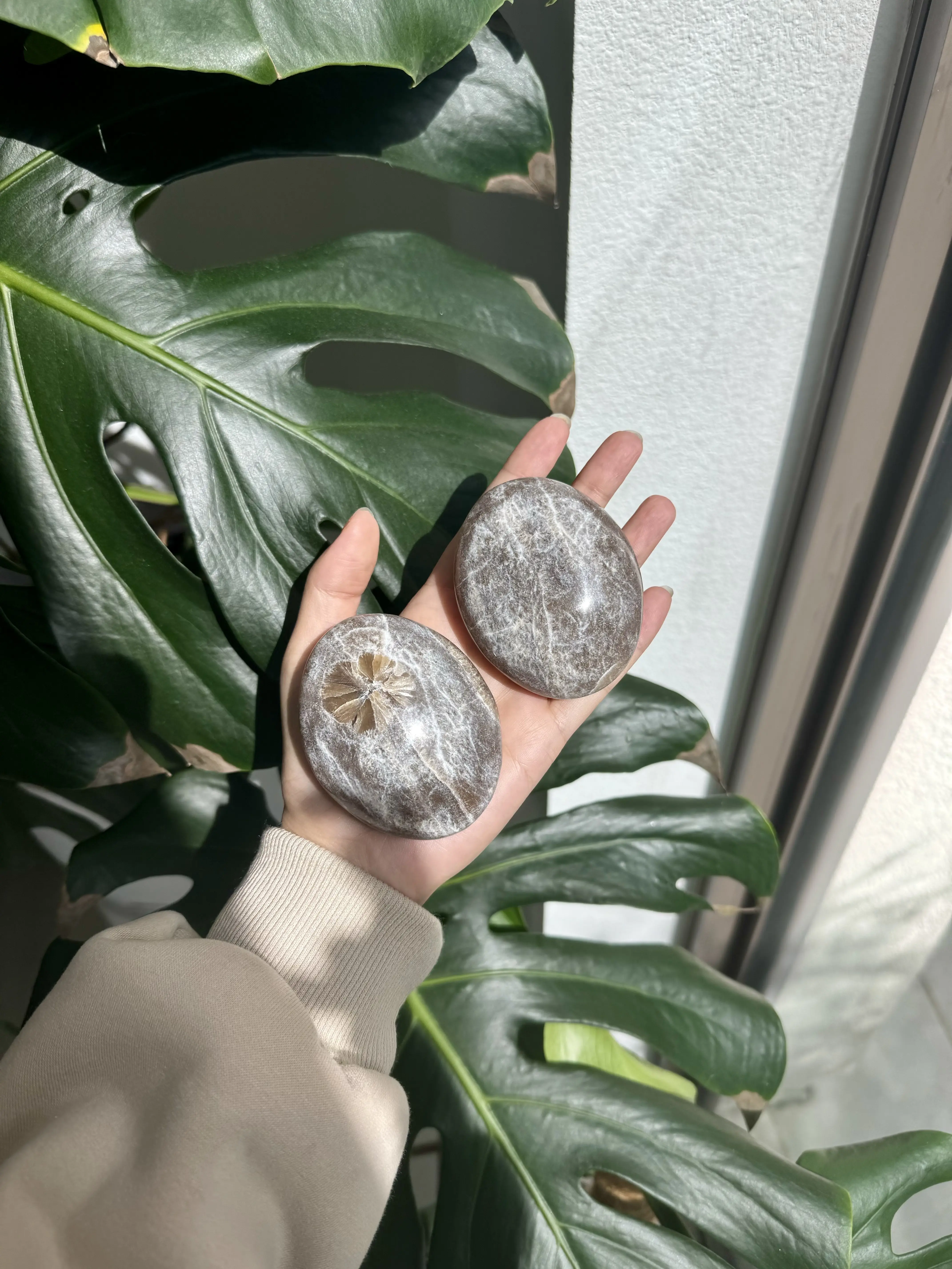 MollyGems Natural Large Onyx Palm Stone Polished Crystal Stone Crystal Gift Home Decoration