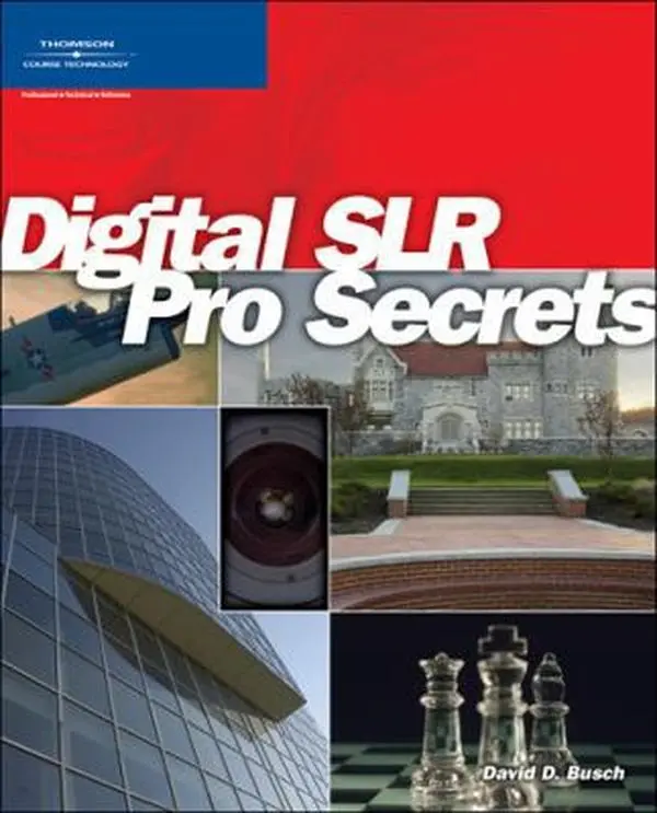 Used Digital SLR Pro Secrets Tutorial Book by David D. Busch - Soft Cover, Advanced Techniques for Business People & Digital Camera Buffs - English