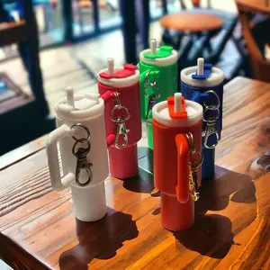 Mini Keychains Multiple Color Options Keyring and Clip Included