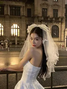 Bow-Adorned Veil for Wedding Dress, Elegant Tulle Headdress, High-End Headpiece, Photo Props, All Seasons Fashion Accessory