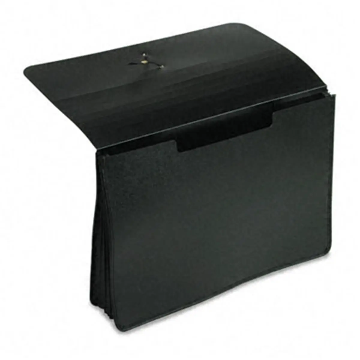 Esselte Pendaflex Expanding File Folder - 5 in Poly Material, 1-Pocket Legal Size Document Organizer, Secure Elastic Closure, Office Filing Supply (Black)