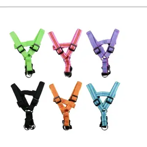 Greenbrier Kennel Club Dog Collar Adjustable Black Green Multicolor