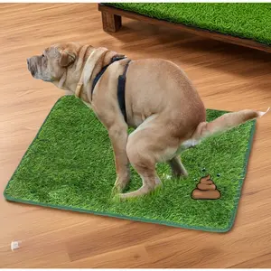 PetCare Dog Urination Mat for Lawn - Removable Urine Pad, Detachable for Easy Grass Cleaning