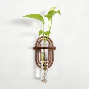Boho Rainbow Wall Propagation Station - Test Tube Holder