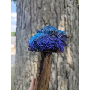 Crooked Dragon Staff of Dreams Wizard Staff Dragon Gifts Dragon Cosplay Comic Con Costume Accessories