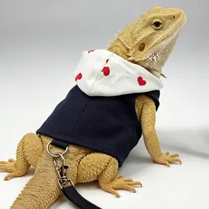 Two-In-One Lizard Clothes + Leash Set, Harnesses, Pet Costume for Small Animals, Ideal for Outdoor Adventures, Pet Accessories