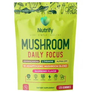 Mushroom Daily Focus