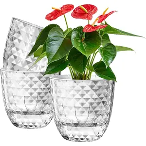 Self Watering Pots for Indoor Plants, Flower Pots, Planter Pots, Self Watering Plant Pot-3pcs 6inch Clear