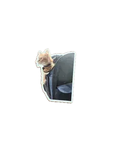 Copilot Backpack Kitty 2.5" Sticker
