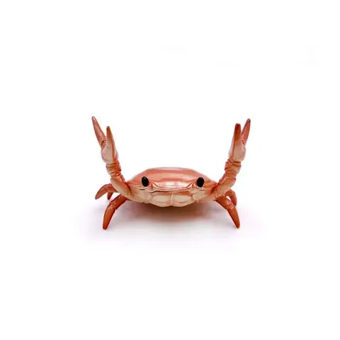Realistic crab shaped pen holder, 1 creative cute desktop pen holder, decorative desktop decorations for office and home, desk accessories, summer gifts, office stationery supplies, room decoration, winter decoration, birthday gift, home decoration