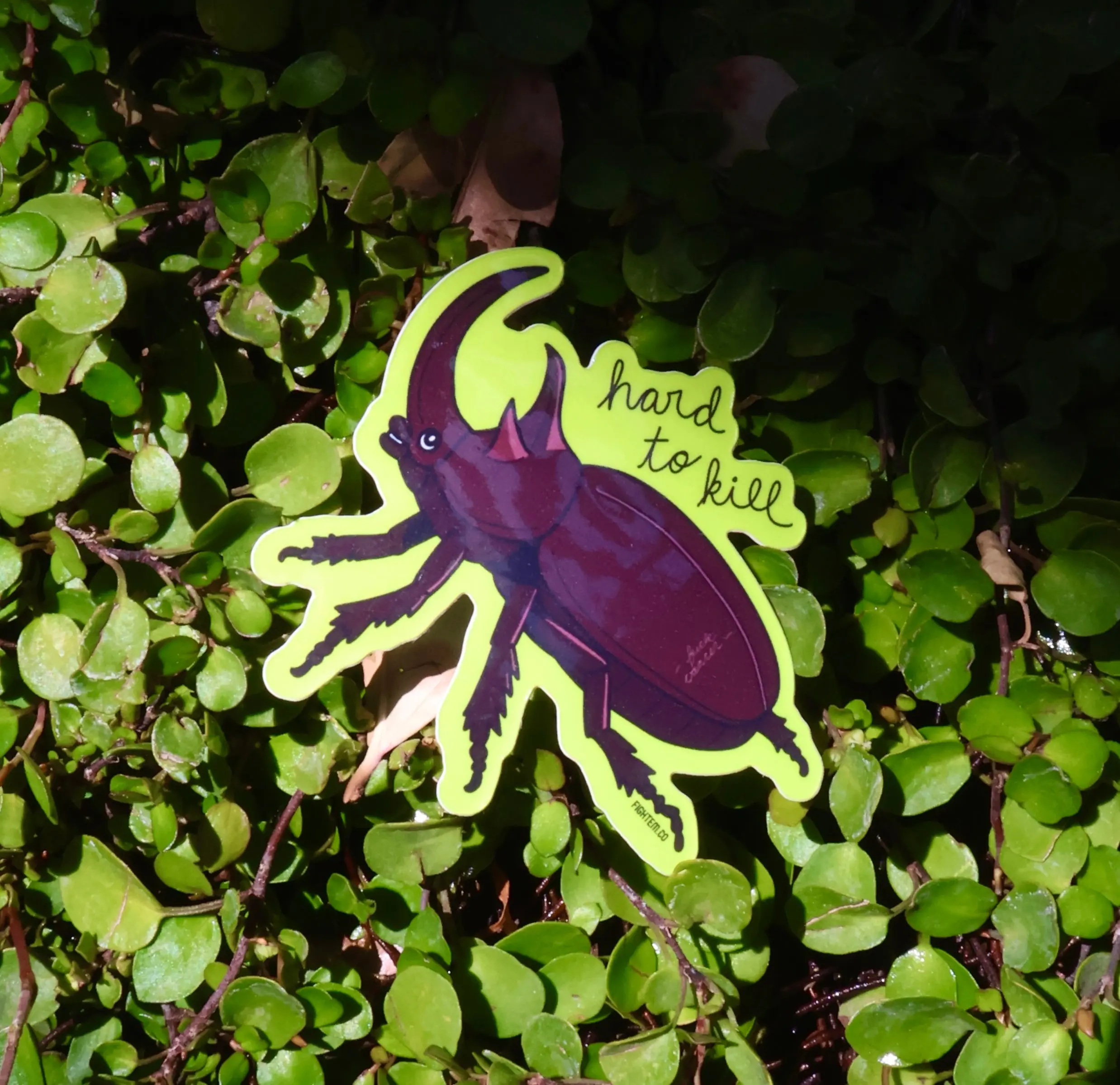 Hard to Kill Rhino Beetle Sticker