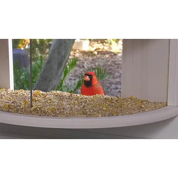 Improvements 180 Degree View Window Bird Feeder