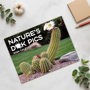 Funny 2026 Calendar, Desk Calendar, Thick Paper, January-December, 11x8.5 Inches, Perfect Gift for Friends & Family, Unique Humorous Design