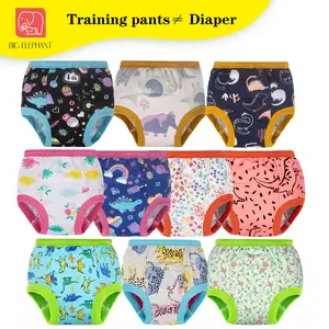 BIG ELEPHANT 10-Pack Toddler Potty Training Pants – Soft Cotton Underwear for Boys & Girls (12M–5T)