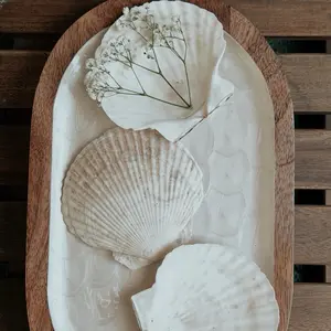 Seashell Smudging Tray, Natural Seashell Holder for Smudging Rituals, Decorative Catchall Tray for Home Altar Use