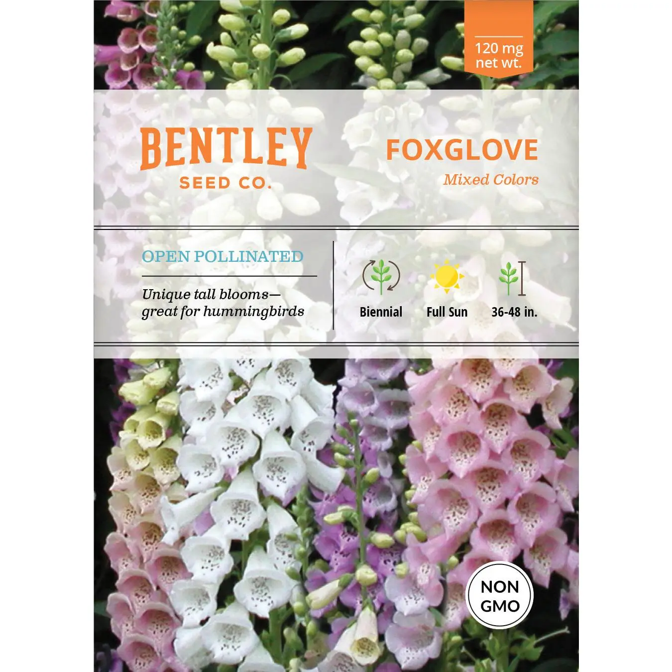 Foxglove Seed Packets