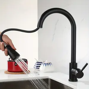 Modern Stainless Steel Pull-Out Kitchen Faucet, 360-Degree Rotating Water Outlet, Dual Function Hot and Cold Water Spray Head