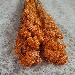 Bleached orange Preserved rice flower, flowers for bouquets, wedding flowers, dried flowers  arrangements, Wedding decor, 19"-20"tall,