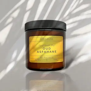 Forest River Mist 100% Soy Wax Candle ( 16 OZ )
