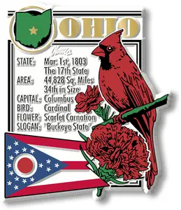 Ohio State Montage Magnet by Classic Magnets, 2.7" x 3.3"