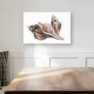 Begin Home Decor C1MP1218D7WX0B 12 x 18 in. Coral Horse Conch Seashells Metal Print Wall Art - Neutral Bathroom