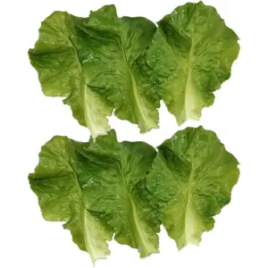 Nice purchase 6pcs Simulation Green Lettuce Leaves PVC Material Fake Vegetable Model Kitchen Artificial Foods