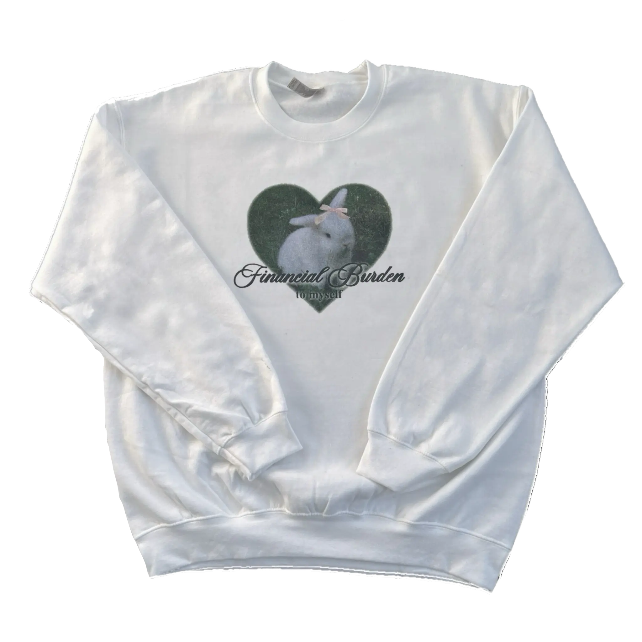 Financial Burden To Myself Crewneck Hoodie Sweaters Soft Original