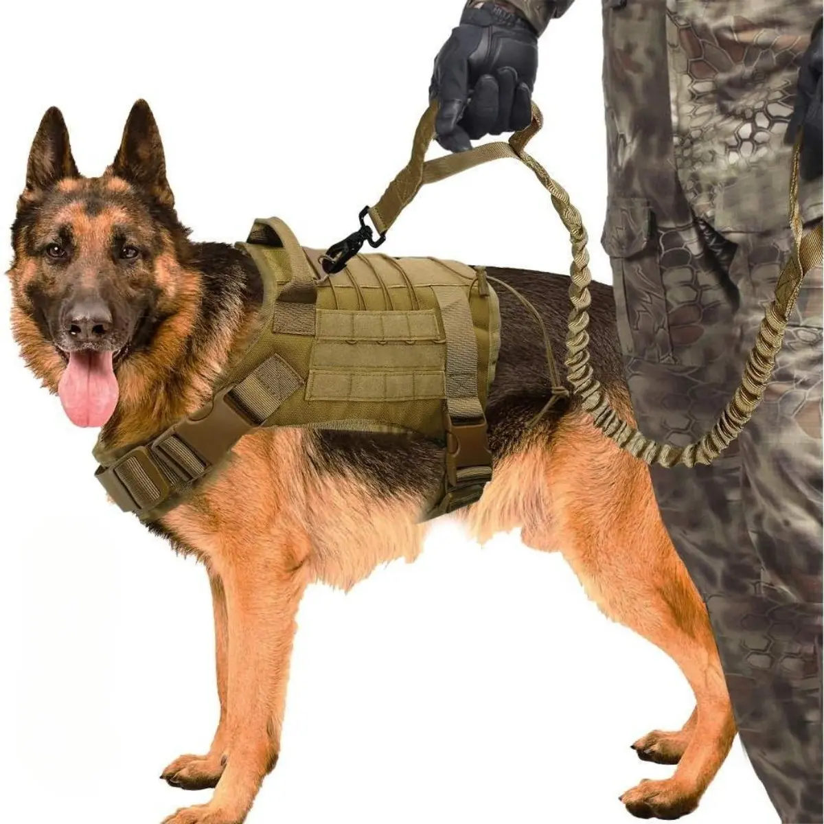 Tactical Dog Harness Military Grade Nylon Vest with Bungee Leash for German Shepherds MOLLE Padded Straps for Medium Large Dogs K9 Training Outdoor Adventure