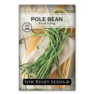 Asparagus Yard Long Bean Seeds Asparagus Yard Long Bean Seeds