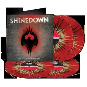 Somewhere in the Stratosphere 4LP Vinyl