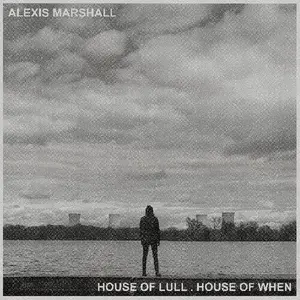 MARSHALL,ALEXIS - HOUSE OF LULL . HOUSE OF WHEN Vinyl LP