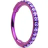 Body Candy Unisex Implant Grade Titanium Hinged Clicker Nose Hoop - 20G, 7mm, 8mm, Purple CZ Gemstone Body Jewelry, Sparkle Nose Rings