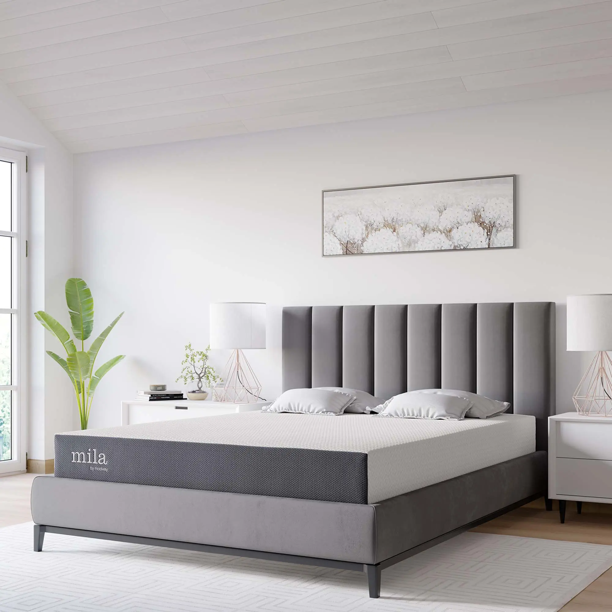 Modway Mila 8" Queen Mattress