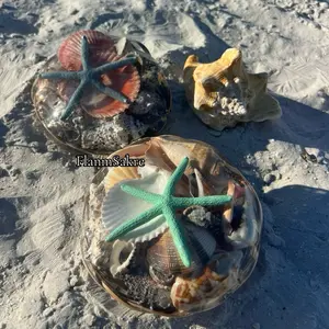 FlannSakre Coastal Shell Altar Decor - Water Element Sacred Offering Bowl with Starfish & Assorted Seashells for Spiritual Use