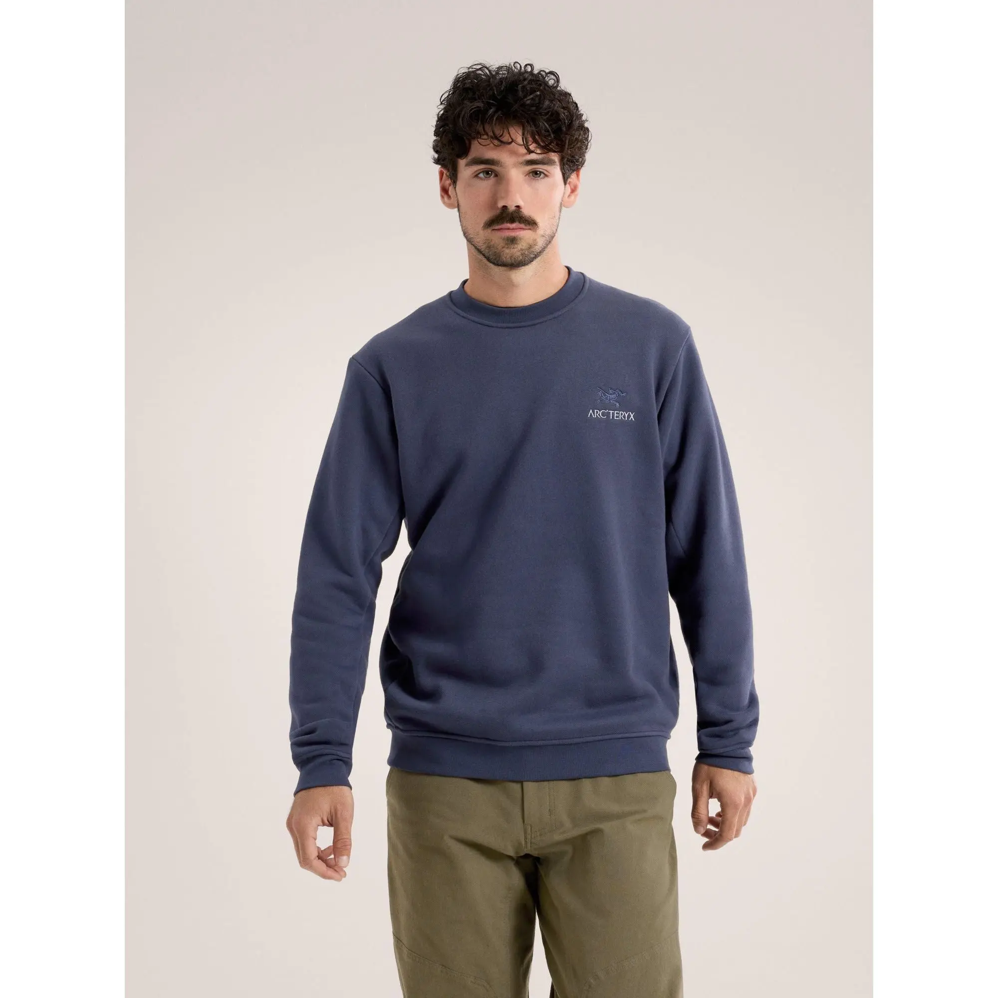 Arc'teryx Men's Emblem Fleece Crew Neck Pullover - TikTok Shop