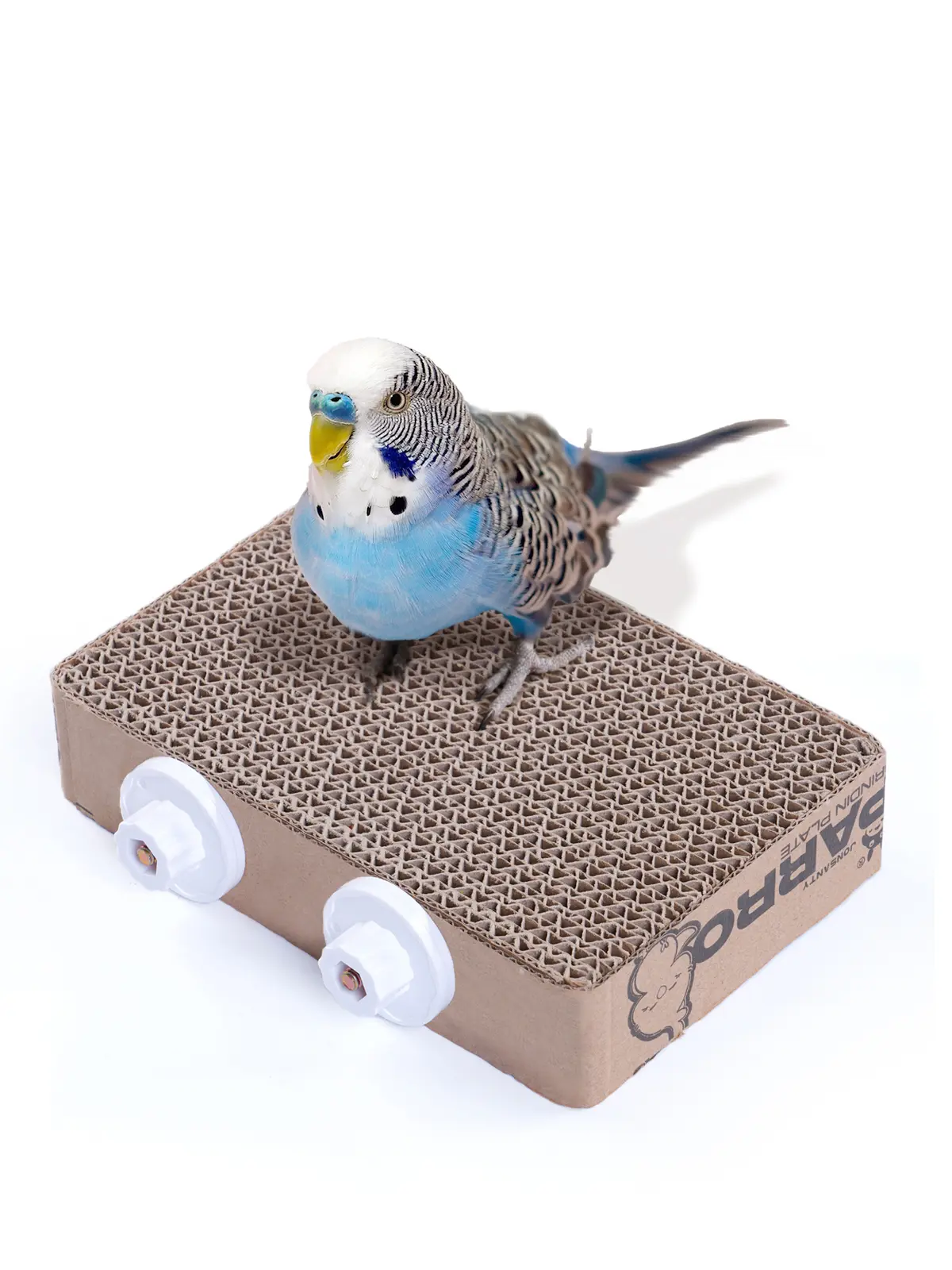 Parrot Grinding Platform | Bird Perch Chewing Pad, Corrugated Cardboard Stand with Fasteners for Lovebirds, Budgies