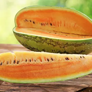 Heirloom Tendersweet Orange Watermelon Seeds - Organic and Regenerative Gardening Seeds