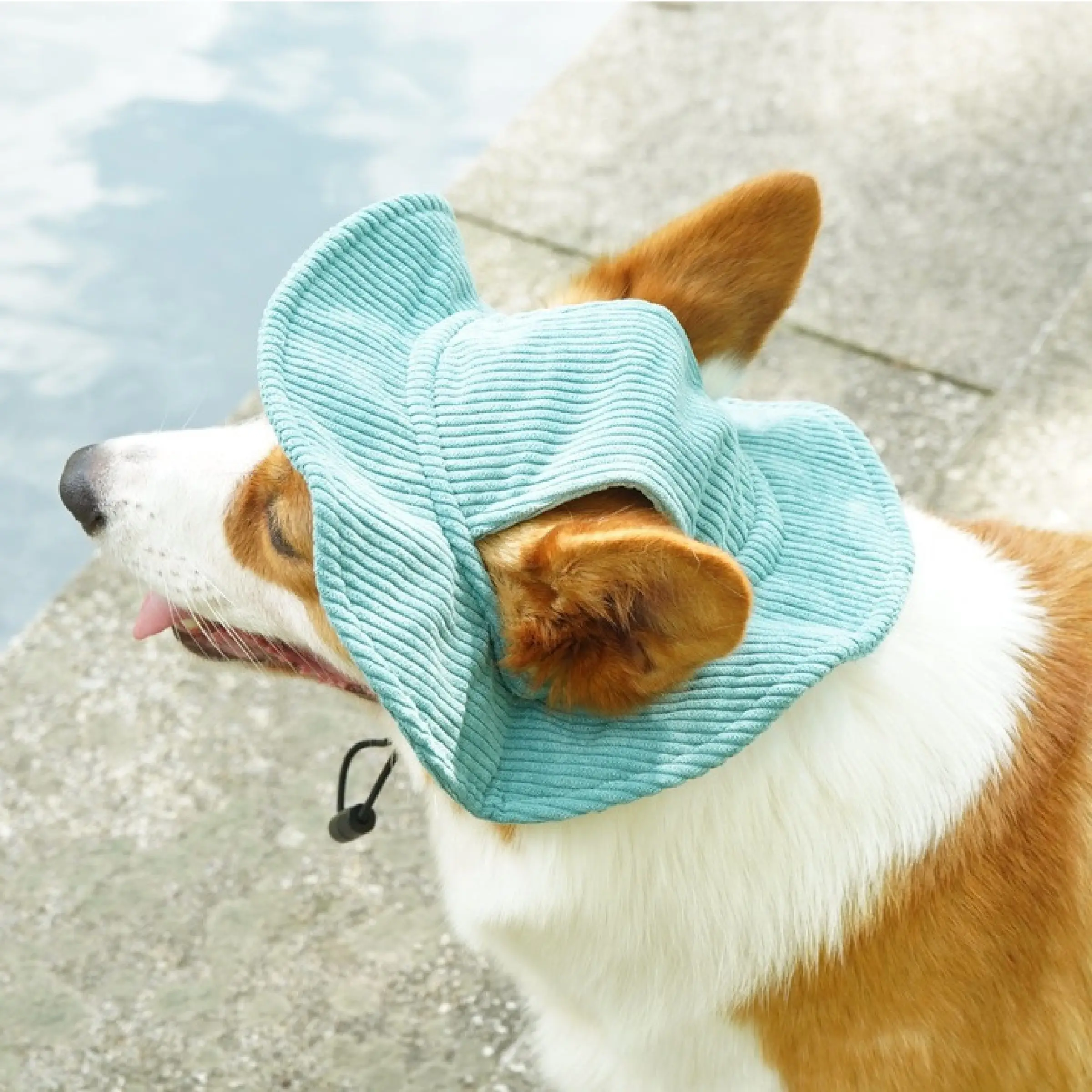 Cute Velvety Pet Sun Hat, Essential Bucket Hat for Small Dogs and Cats, Perfect for Photoshoots, Stylish and Comfortable Accessory