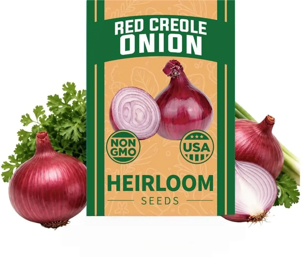 Rare Red Creole Onion Seeds, Spicy Heirloom Red Onion Vegetable Seeds, Easy-to-Grow for Backyard Farm Balcony Pot Planting