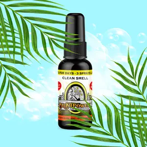 Clean Smell Air Freshener Spray