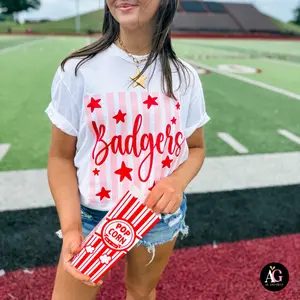 Pink Stripes Custom Mascot