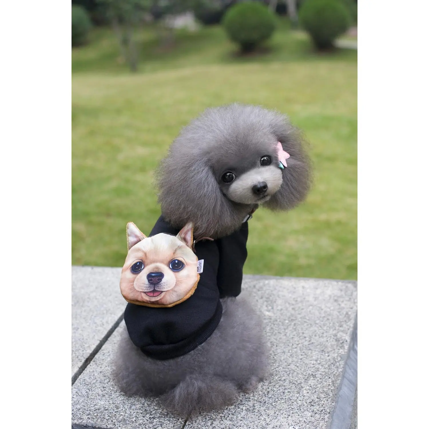 Dog Hoodie with Backpack - Cute 3D Puppy Face Pouch Fleece Sweater for Small Dogs, Warm Autumn Winter Pet Hoodie in Black or Red