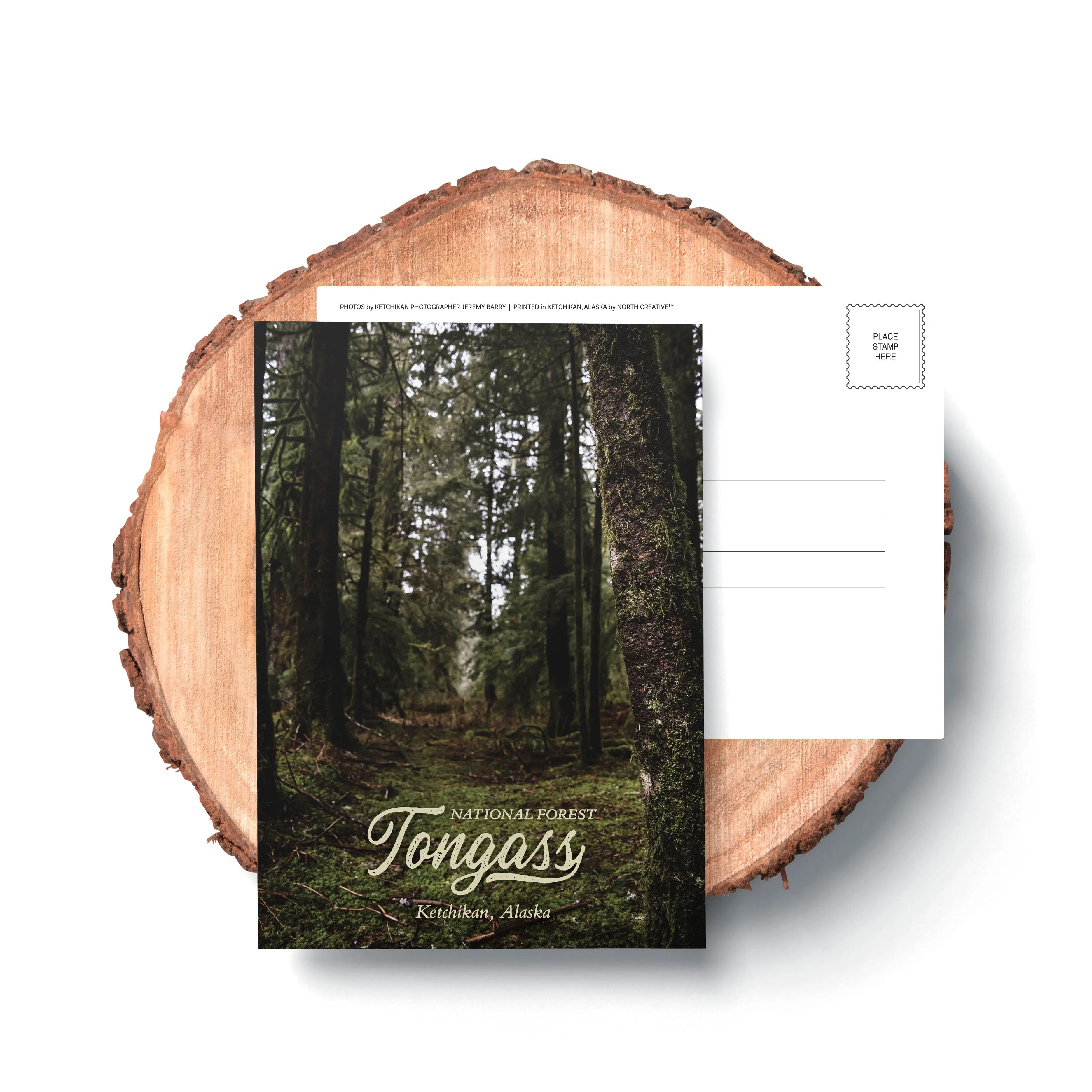 Tongass National Forest V2 Postcard