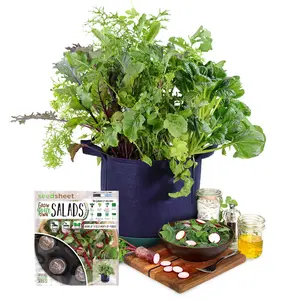 Seed Sheet Container Garden | Effortless Urban Gardening | Pre-Seeded Biodegradable Sheet with Integrated Nutrients for Small Spaces | Easy to Use, Eco-Friendly, and Ideal for Beginners