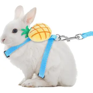 Rabbit Harness and Leash, Adjustable Double Buckle Bunny Leash, Escape Proof  for Bunny Cat Ferret and Other Small Pet