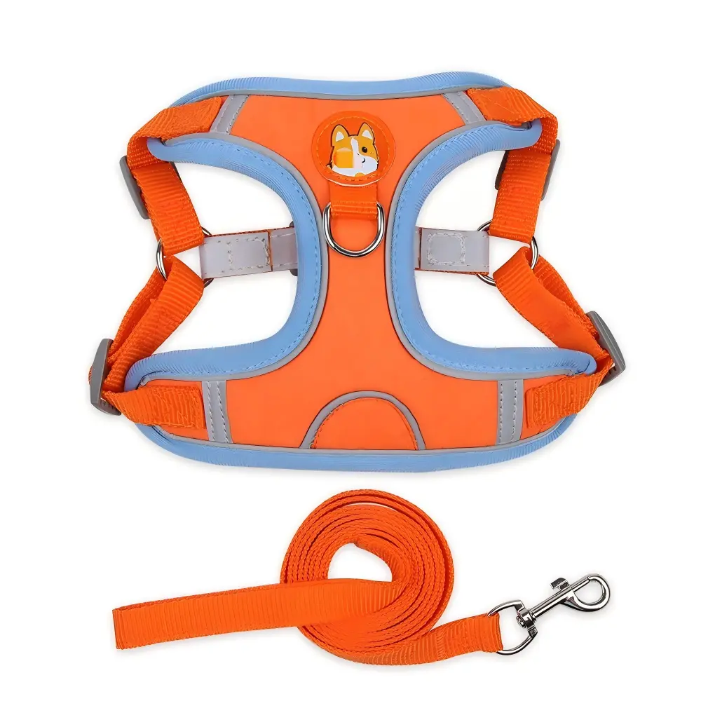 Cute Corgi Patch No Pull Dog Harness & Leash Set | Reflective Puppy Vest Harness for Small Medium Dogs Cats DogHarness PuppyEssentials PetSupplies NoPullDogHarness DogWalkingGear SmallDogAccessories CatHarness