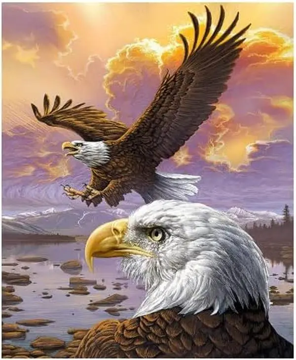 Soaring Eagles Blanket-60x50" Plush Fleece