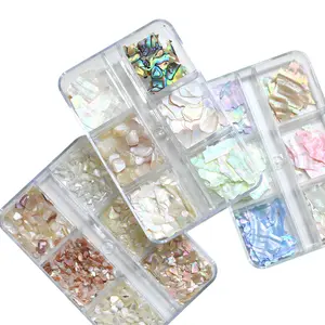 6 Grids Natural Abalone Sea Shell Stone Nail Art Decoration 3D Irregular Slice Fragments Flakes Nail Charms Manicure Accessory