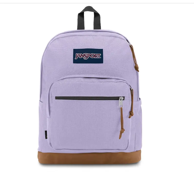 JANSPORT Unisex Purple Suede Backpack (with 15-inch laptop compartment)